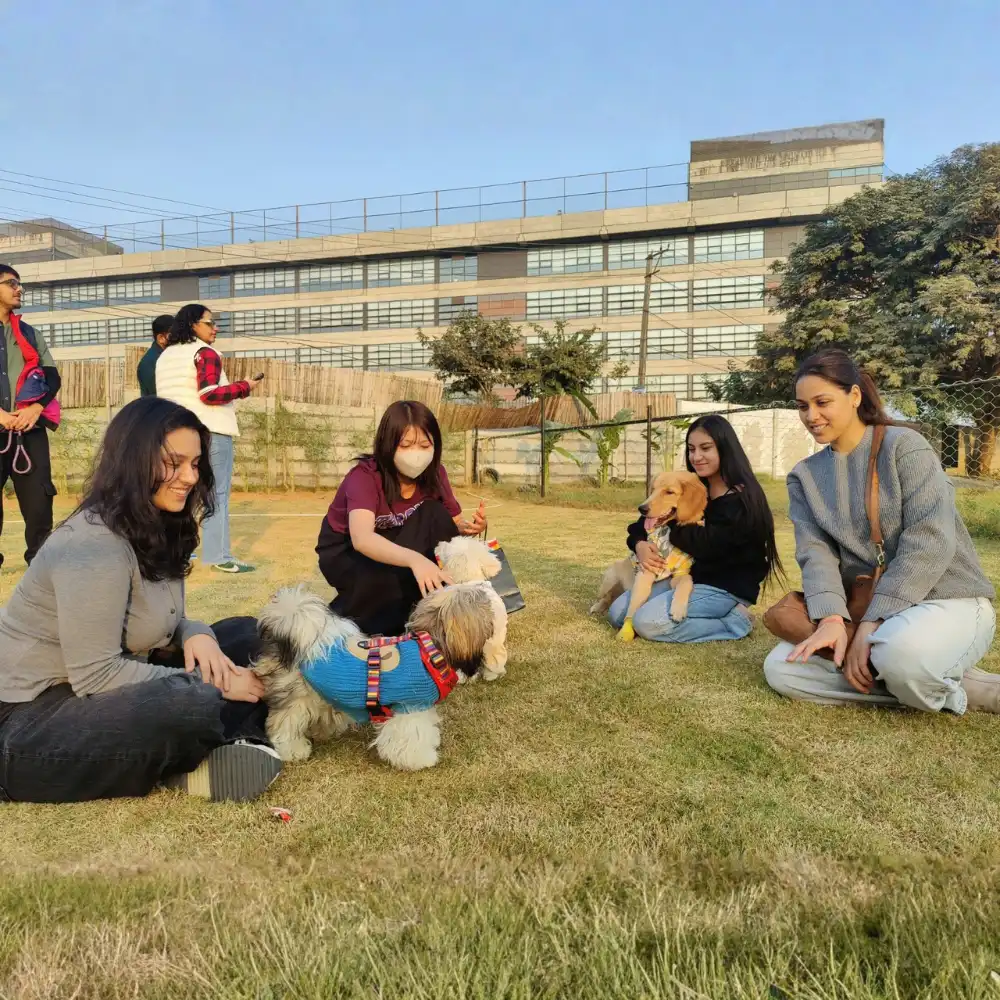 Untitled design (1) furrvy