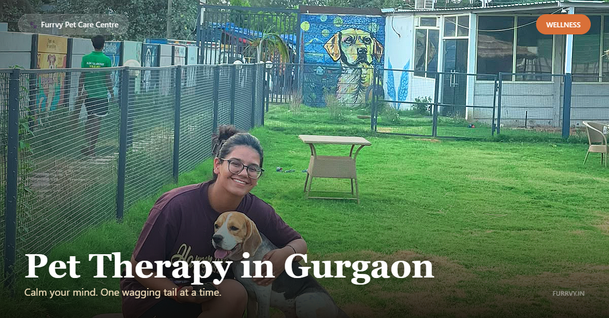 pet therapy
