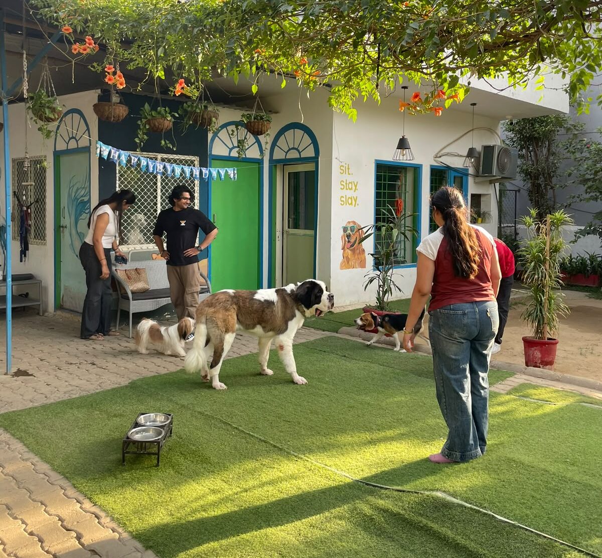 dog boarding in gurgaon