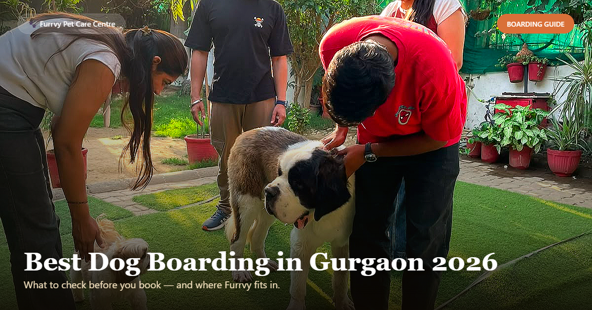 Best Dog Boarding in Gurgaon 2026