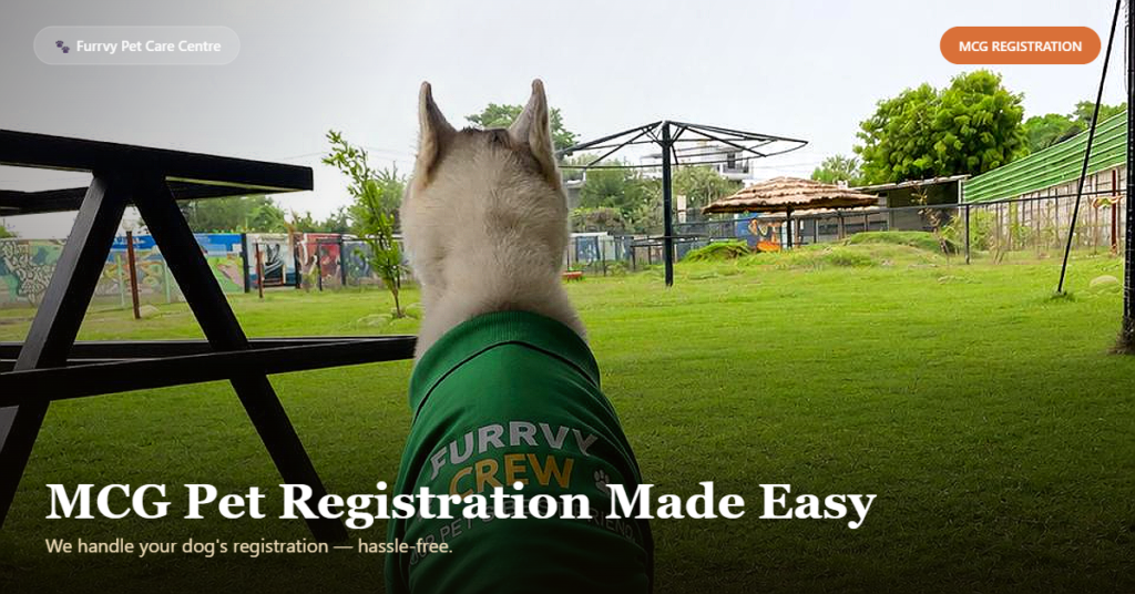 mcg pet dog registration gurgaon