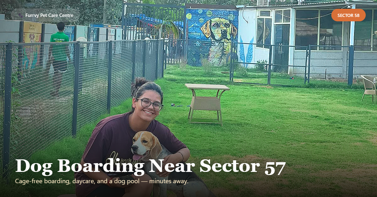 dog boarding sector 57 gurgaon
