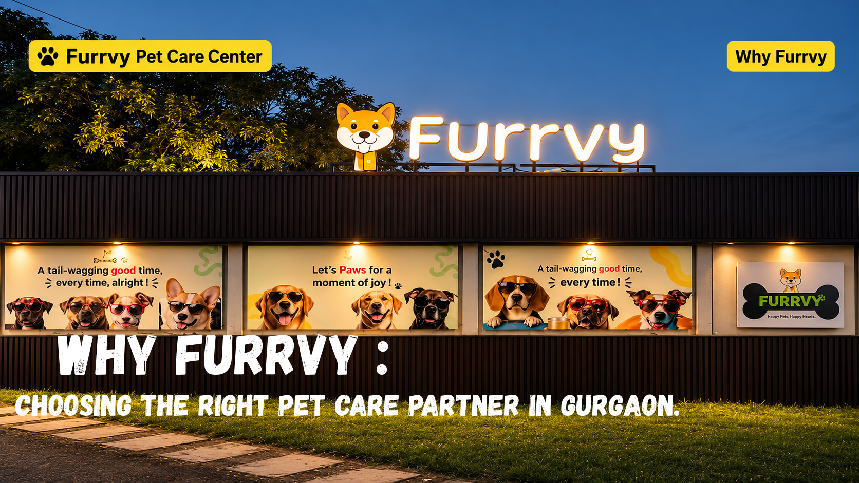 dog boarding gurgaon sec 58