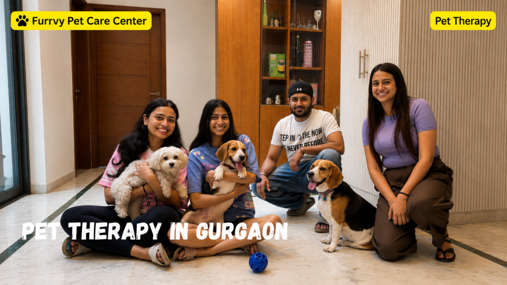 pet therapy ggn
