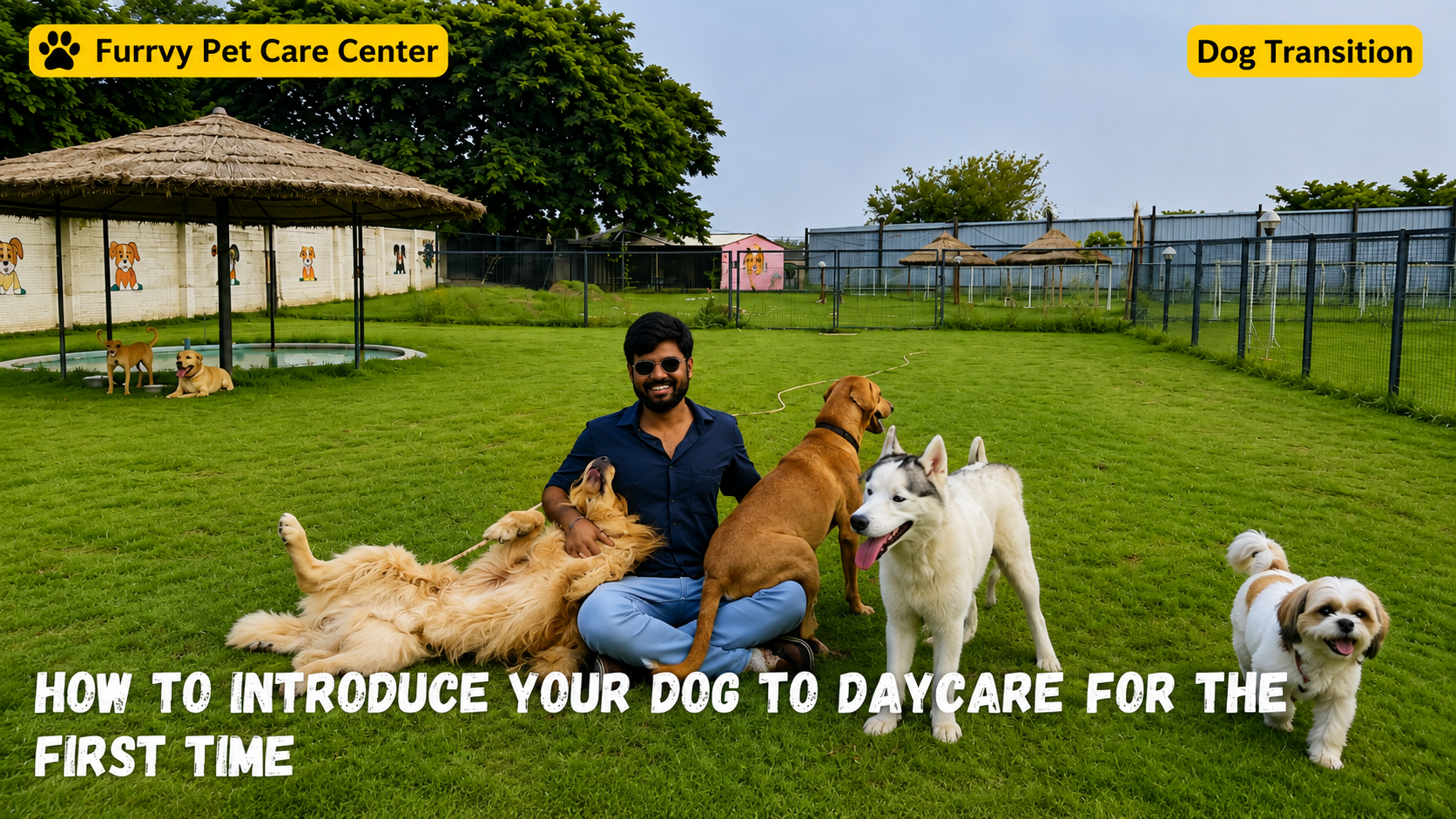 dog boarding gurgaon
