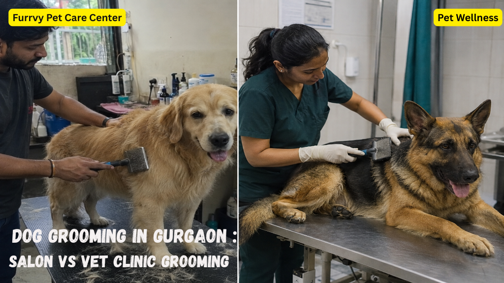 dog grooming salon vs vet