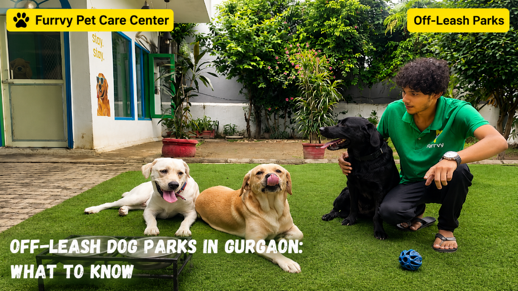 off leash dog park gurgaon