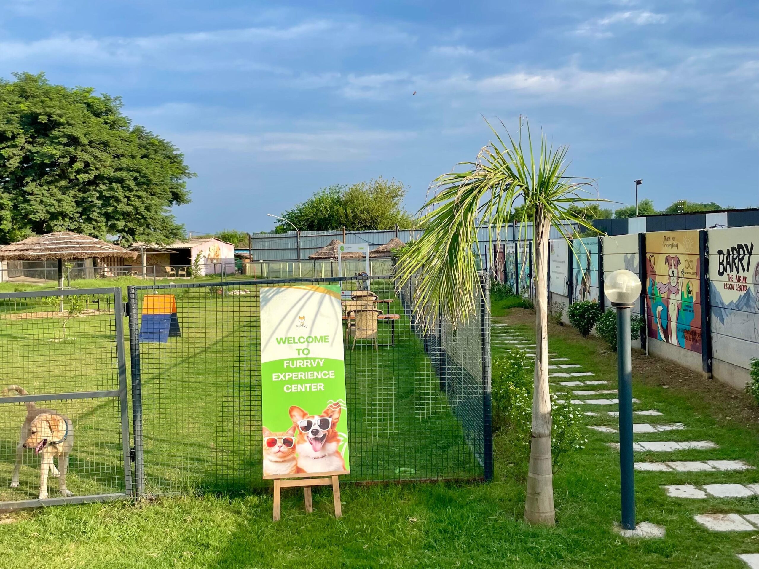 dog boarding gurgaon 