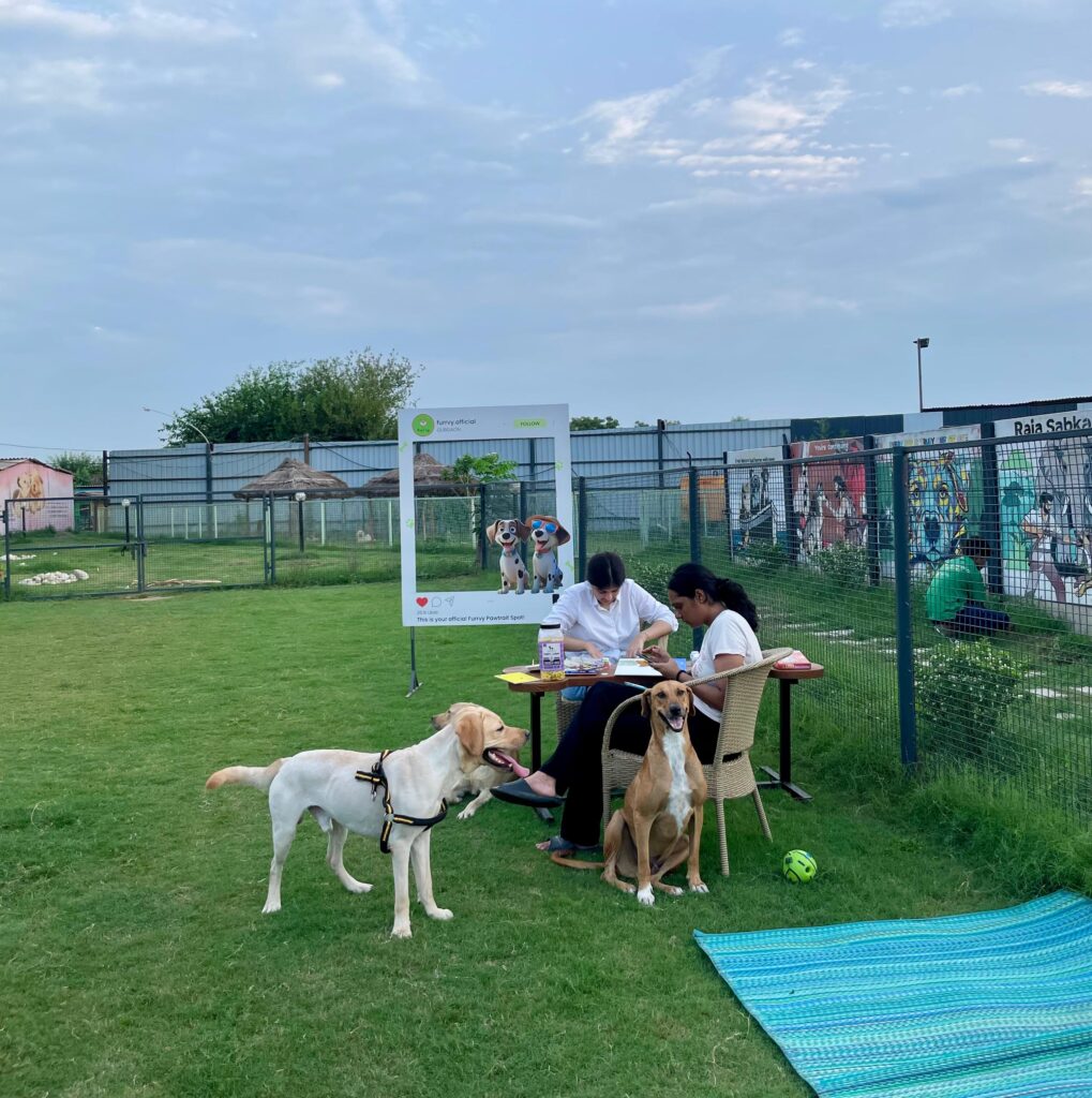 dog boarding gurgaon