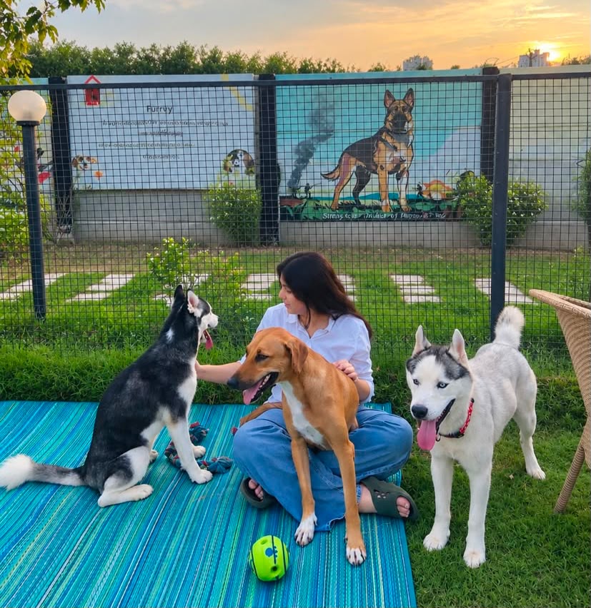 Pet Therapy